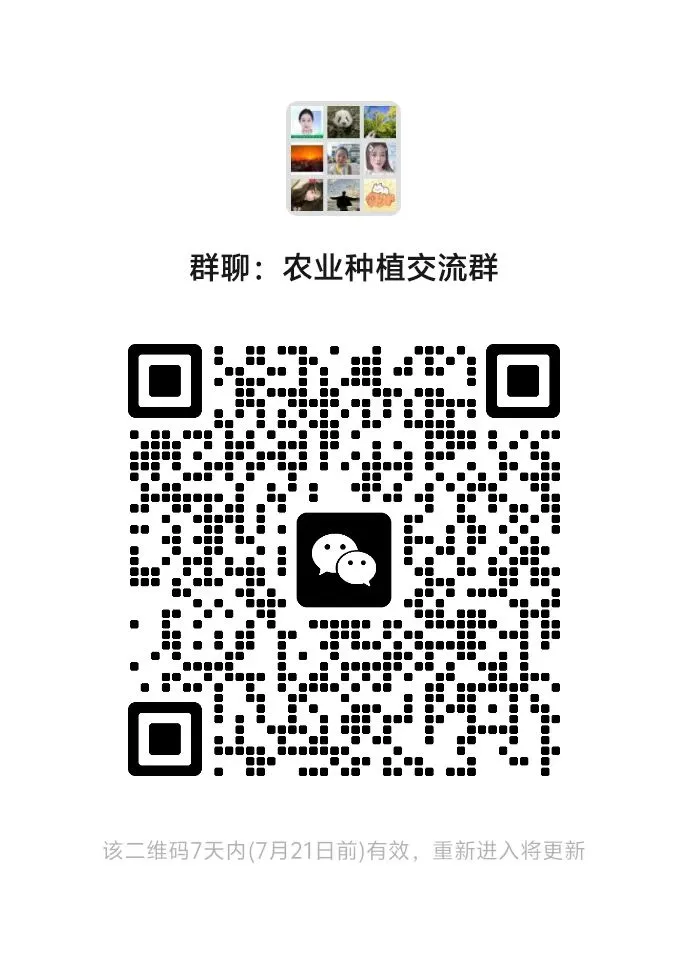 农业种植交流群