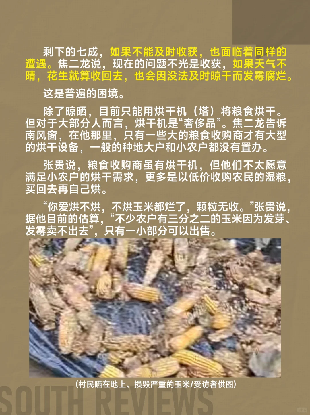 河南农民太苦了,刚经历罕见干旱又遭遇秋涝