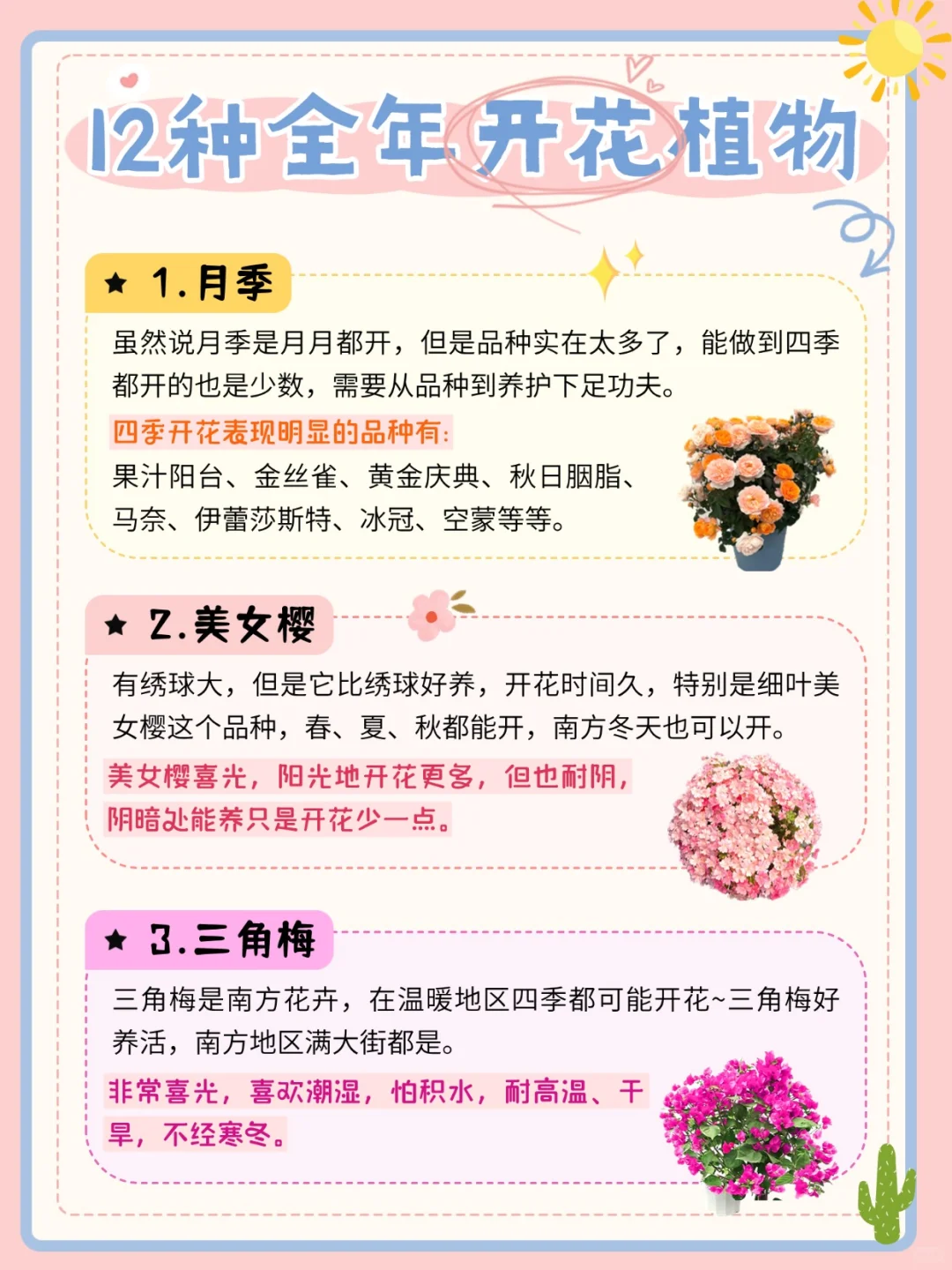 推荐12种全年开花植物?懒人收藏‼️