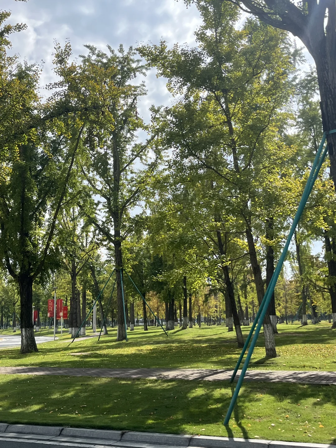 成电研1️⃣｜国际文化交流节～