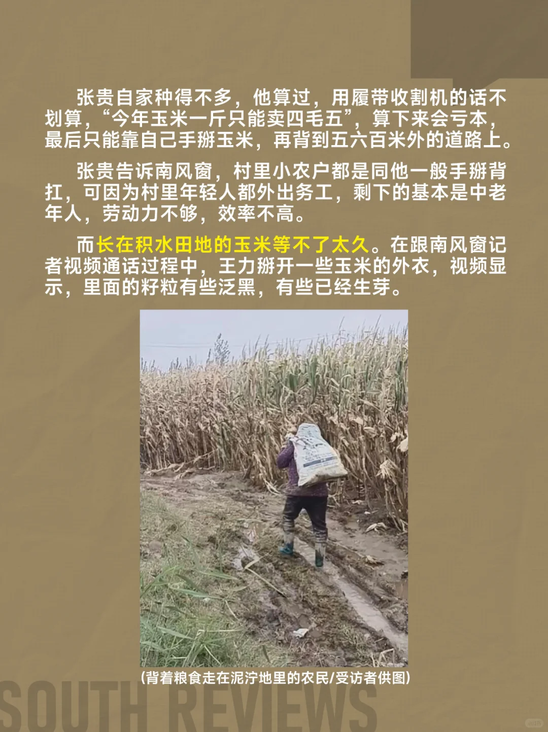 河南农民太苦了,刚经历罕见干旱又遭遇秋涝