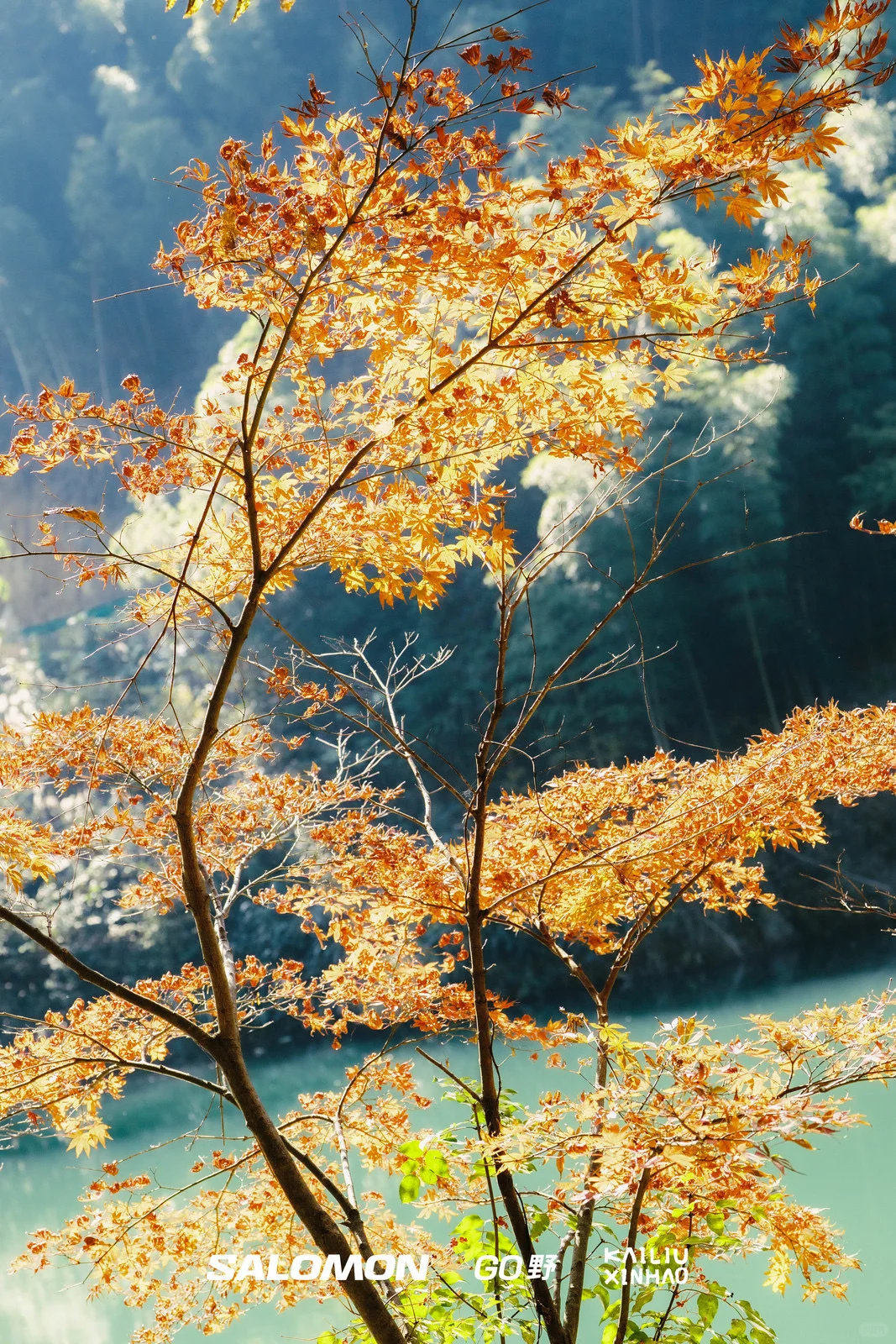 征服瀑布，用汗水为山野做一次SPA@杭州徒步