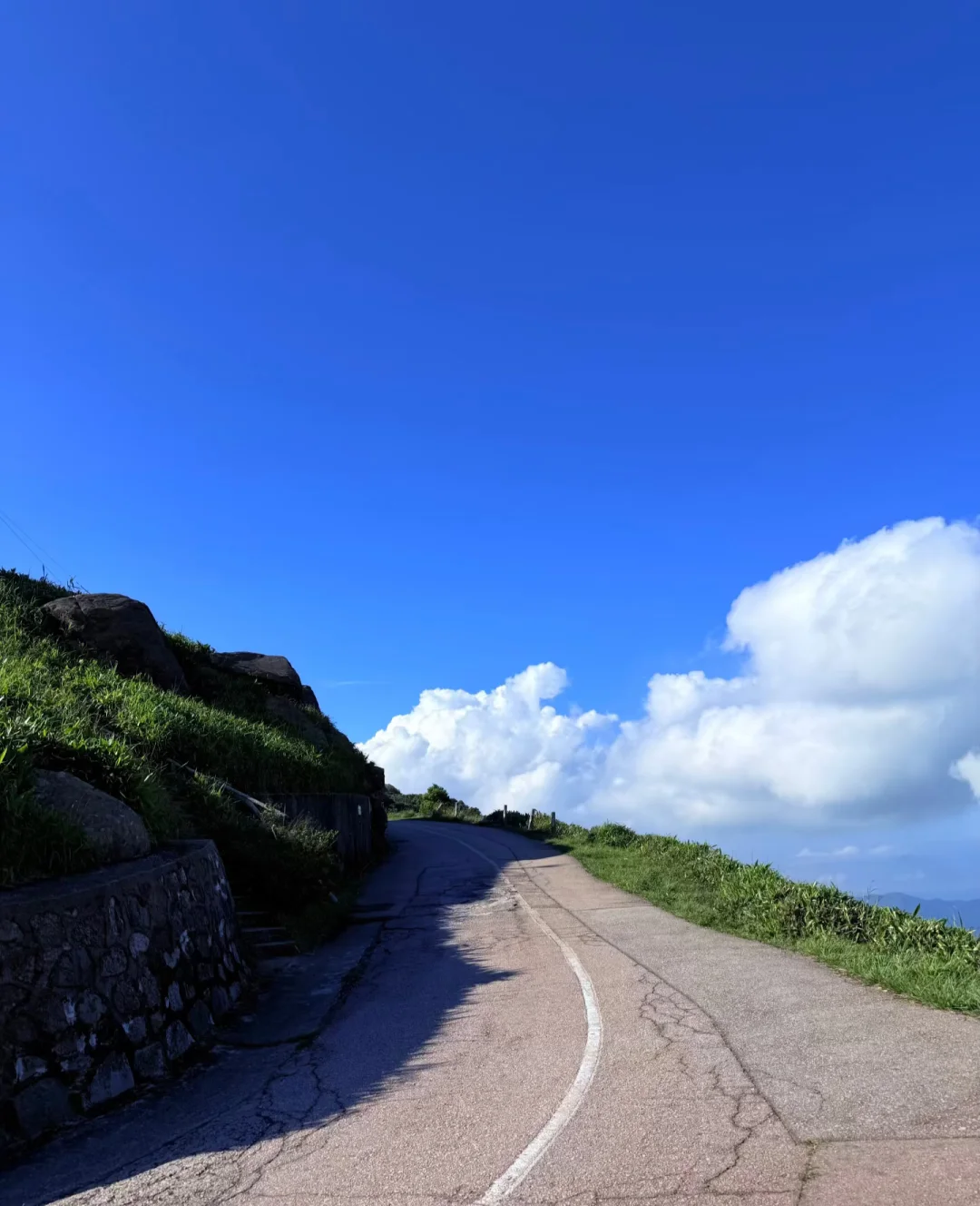 香港大帽山 周日11月23日