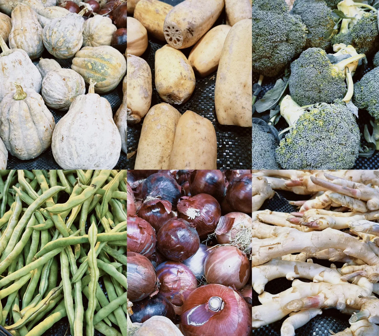 菜市场 ｜有在为生活好好选菜吗？