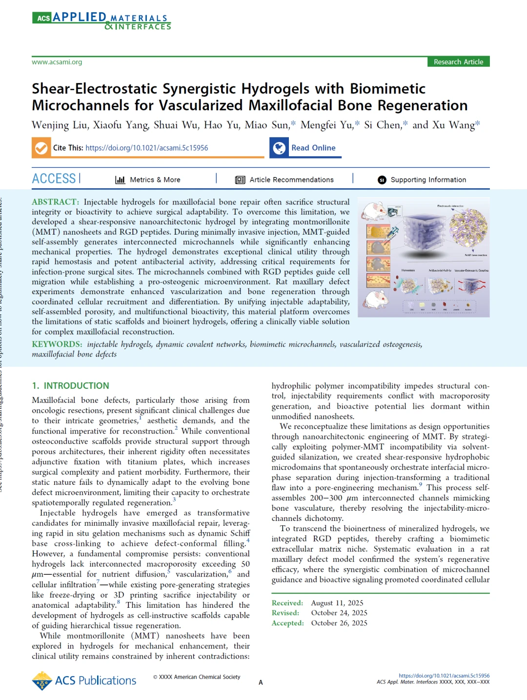 黑科技水凝胶，让颌面骨修复告别二次手术！