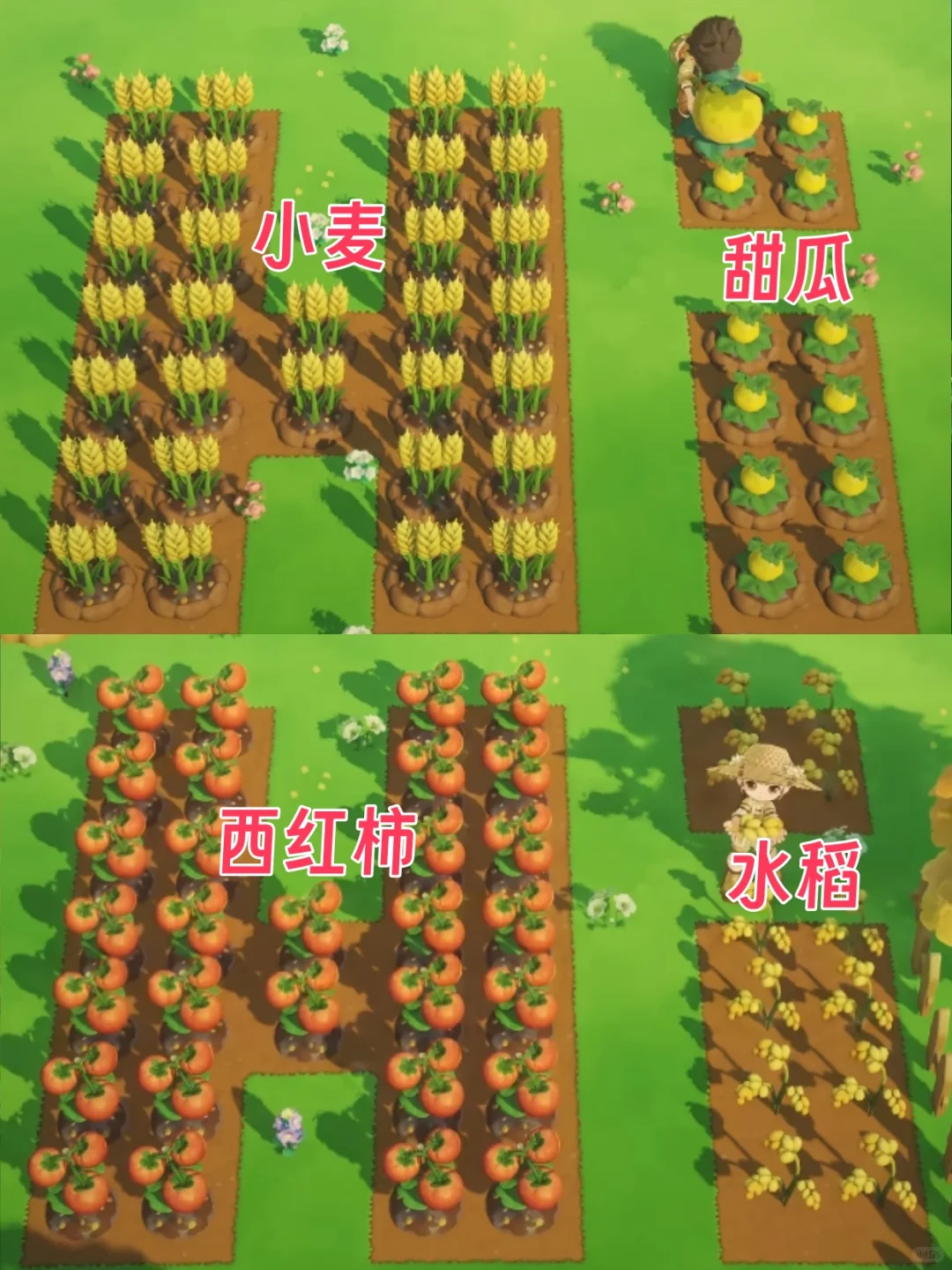 星布谷地PV植物大盘点