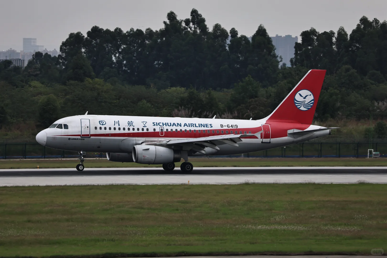 双流难得白天出好货（还扎堆）