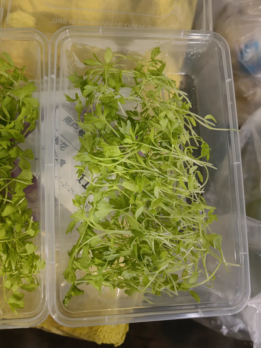 什么都听您的食材供应商来啦,全品类批发价