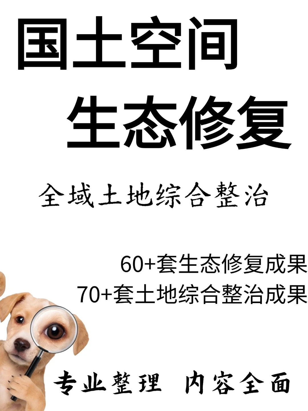 新国土空间全域土地综合整治案例开发
