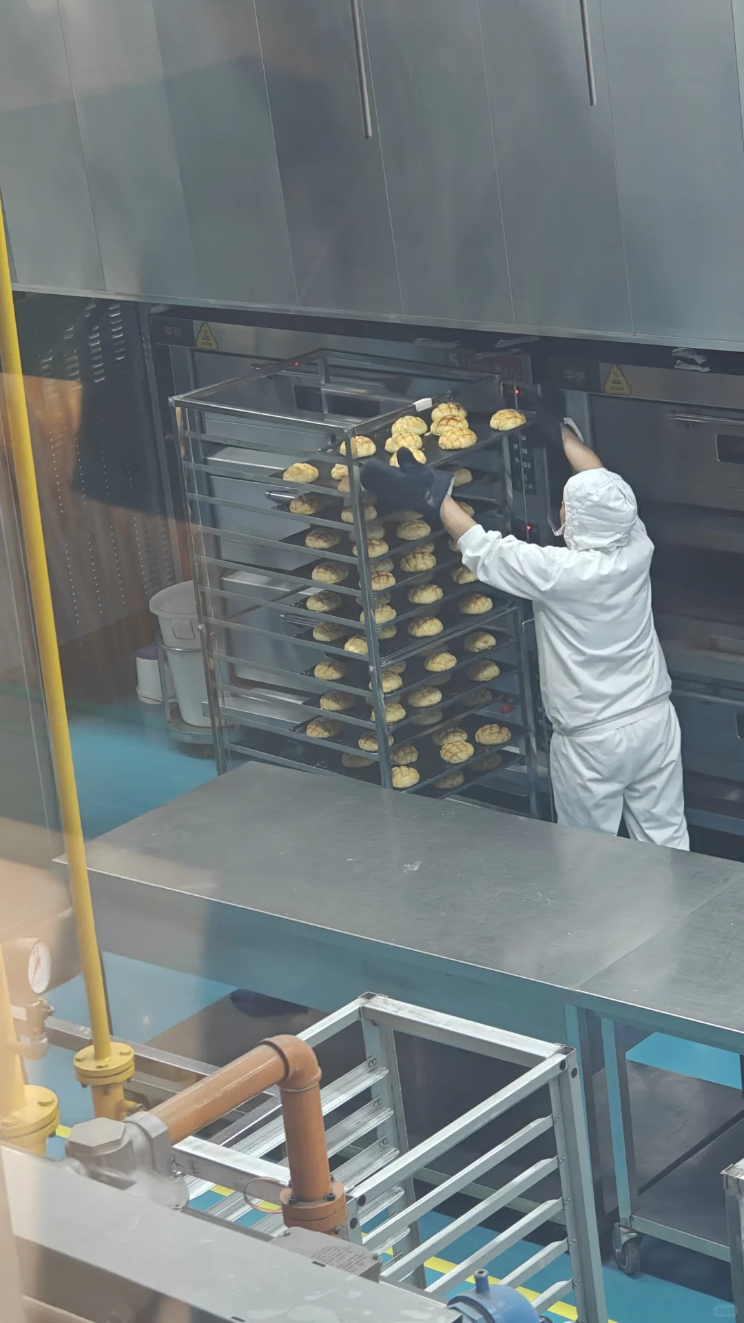 来仟吉“透明工厂”看小白人儿啦~