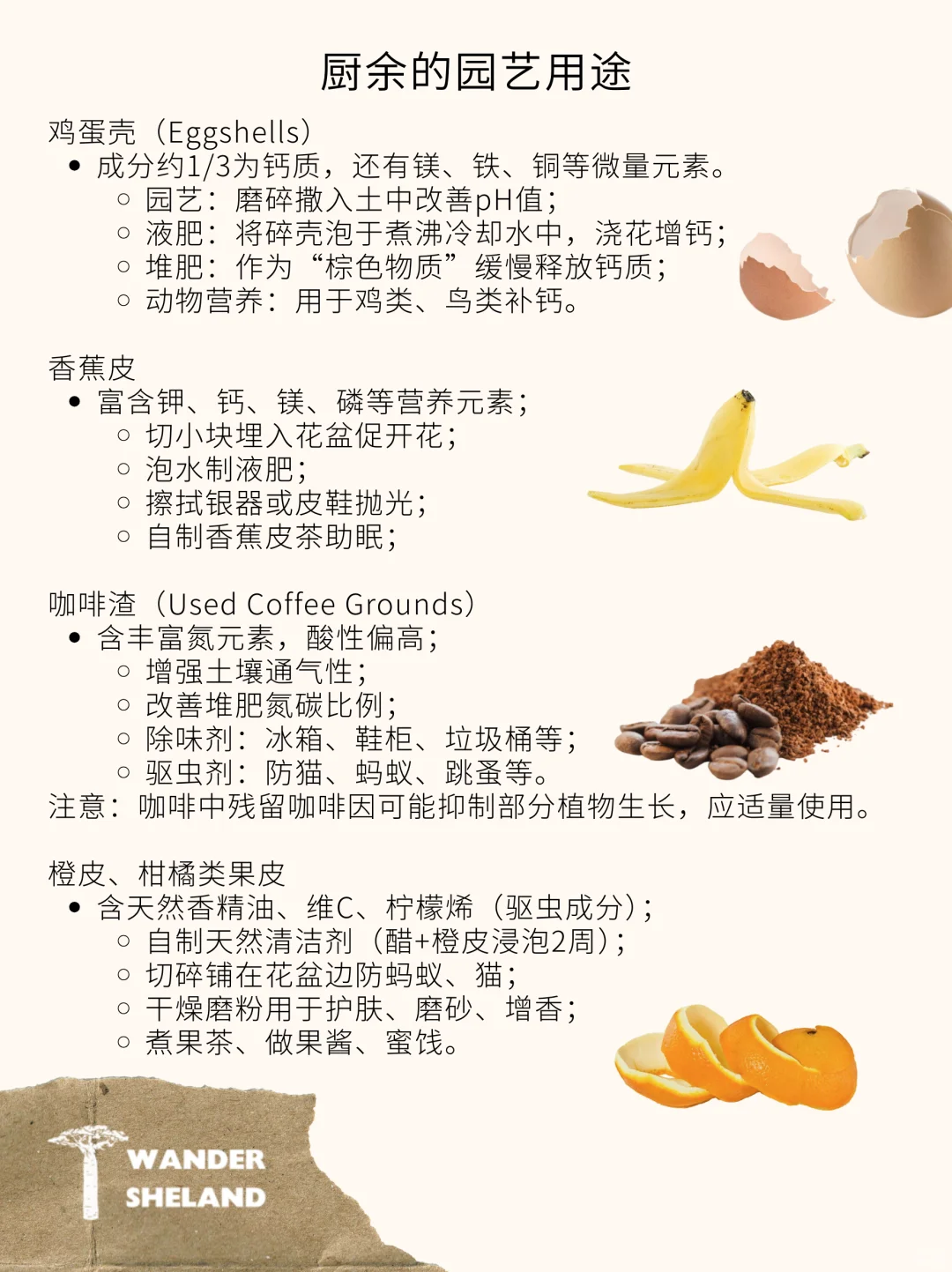 可持续指南｜厨余垃圾再利用 ?