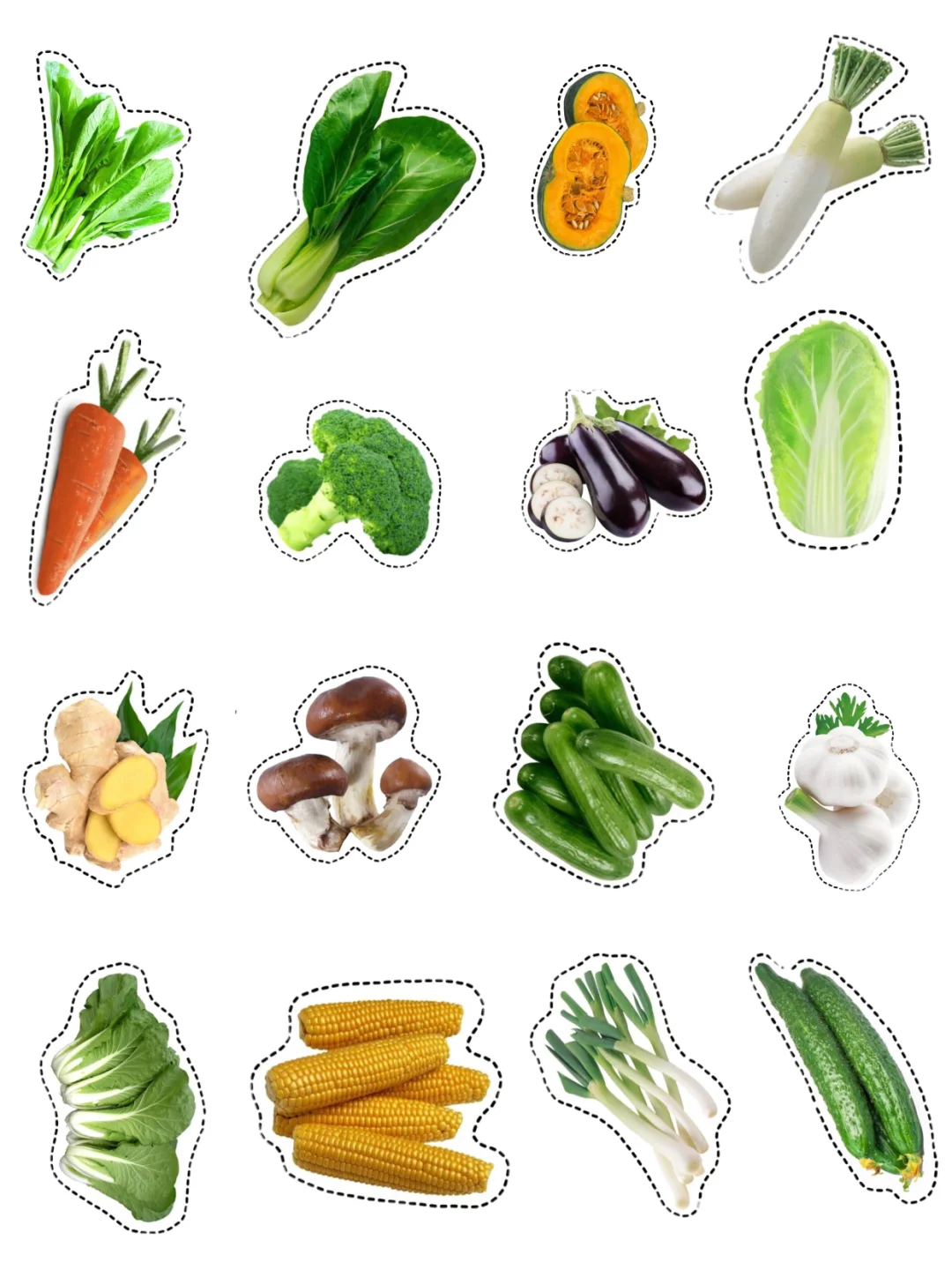 真实的蔬菜水果|均可打印（48种）