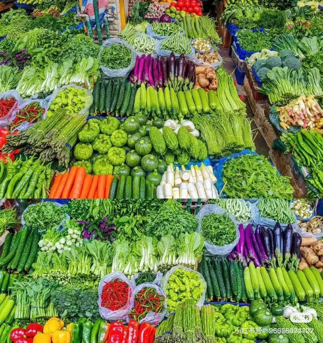 专业餐饮食材供应链一站式采购配送~