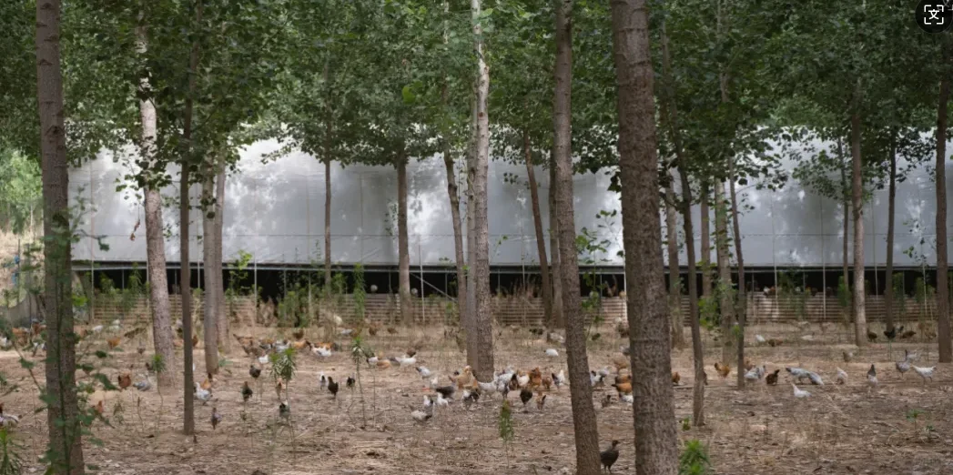 当前的社会主要矛盾你知道吗