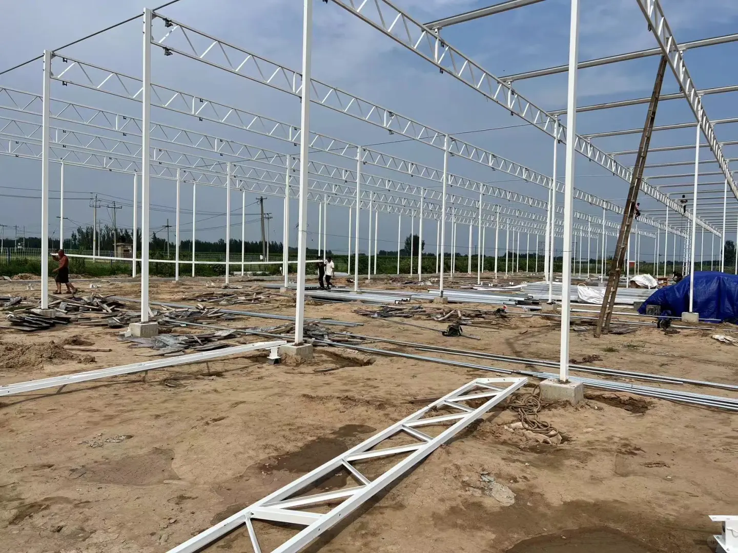 技术为王!智能温室成就高效农业?