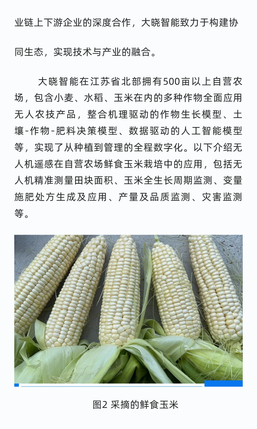 大晓智能智慧农业技术方案的500亩+农场实践