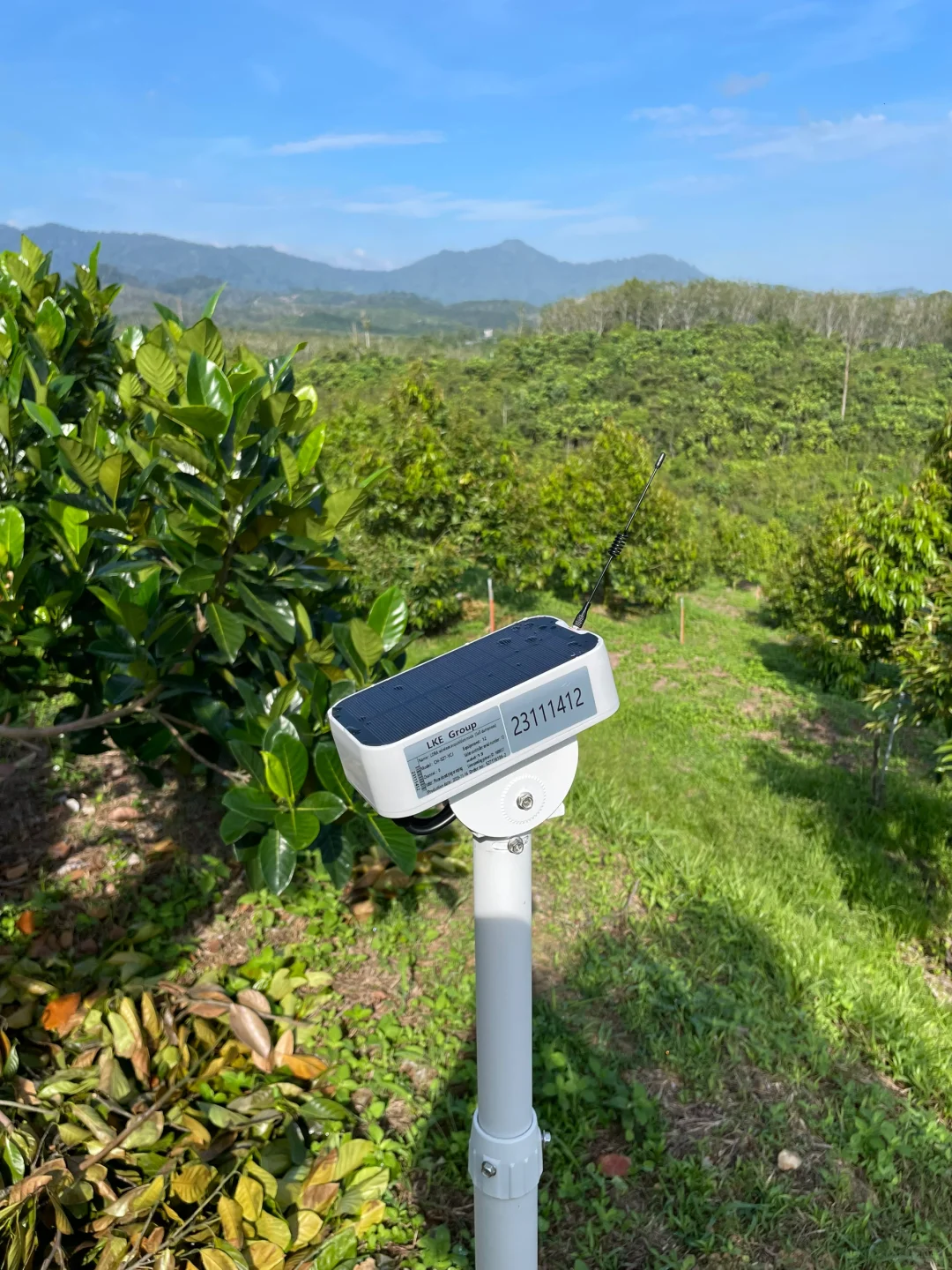 当高科技遇到最传统的农业?!?