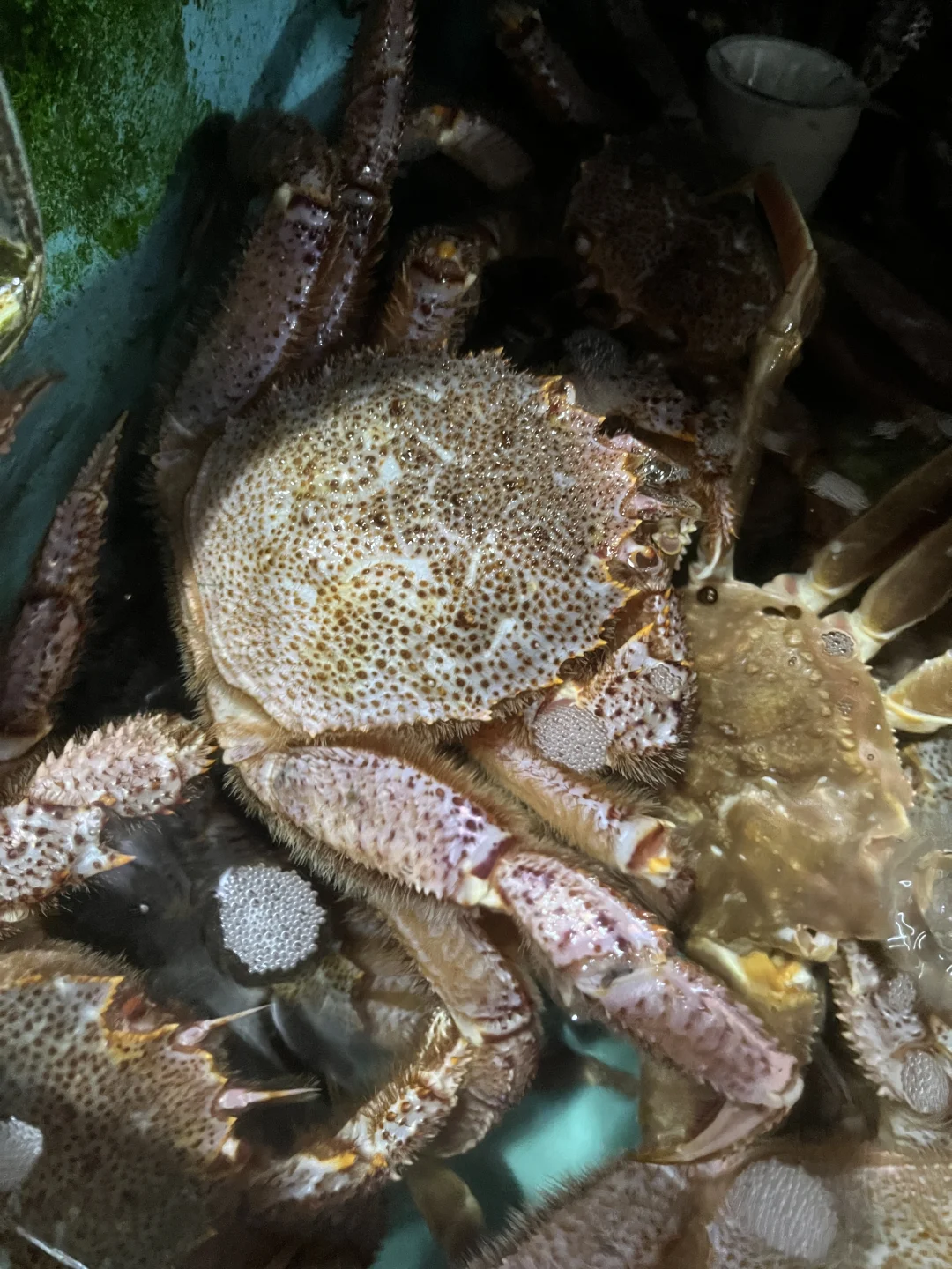 ? 上海江阳市场24h逛吃攻略