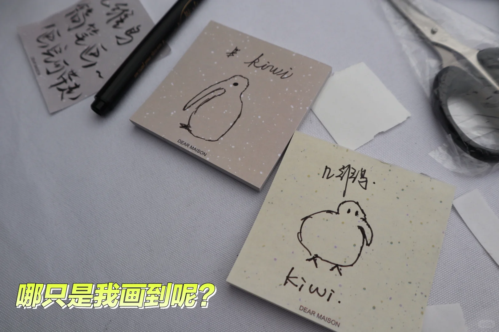 北语 | 美美与共，不分彼此，我们零时差