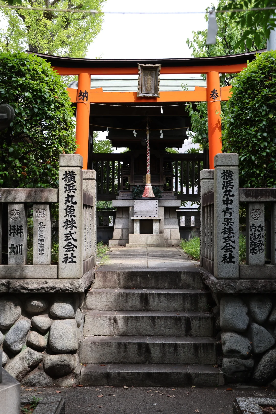 ??横滨 | 飞机一落地直奔早晨的鱼市场