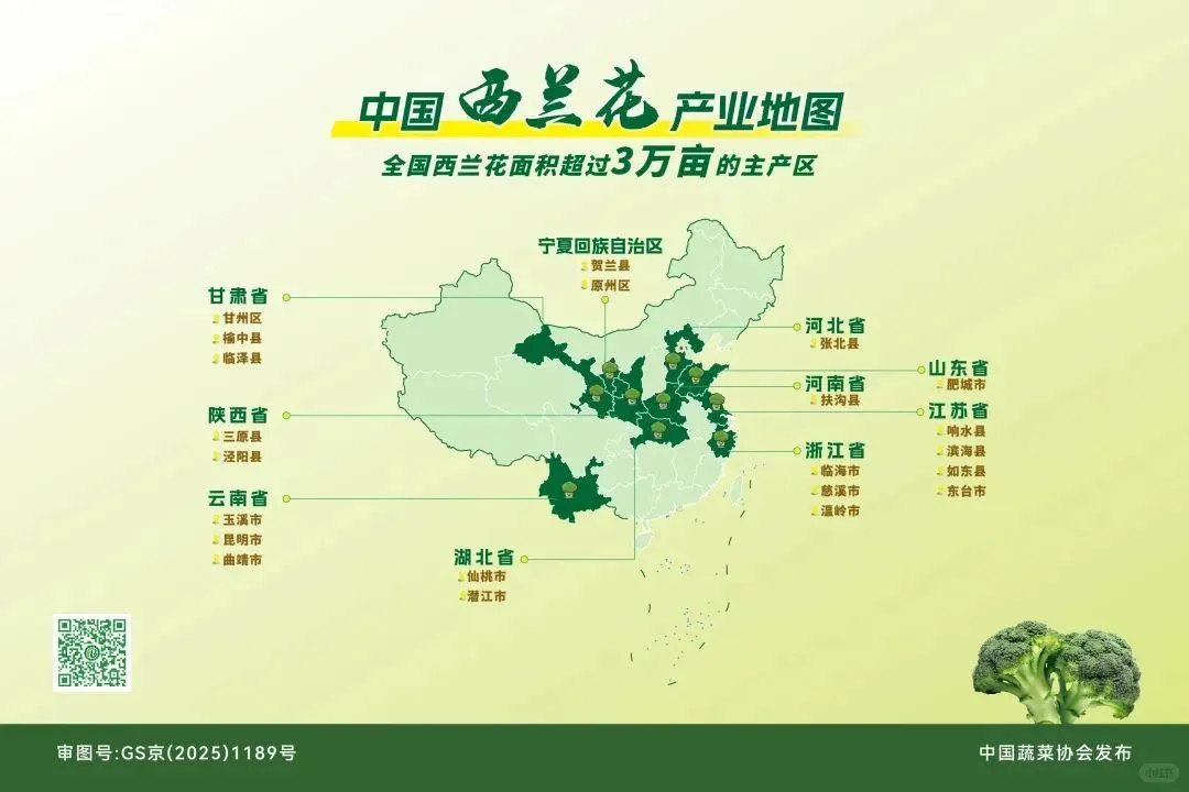 ?️嗯?这些地图是什么呀❓❓