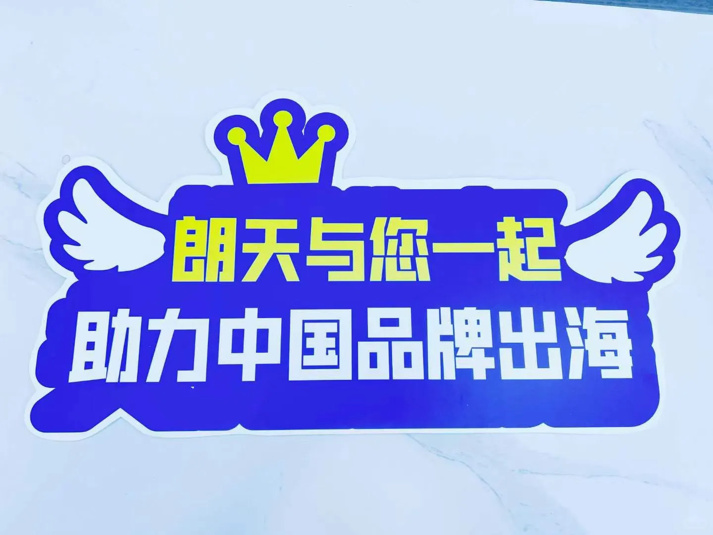 俄罗斯空运专业物流服务商