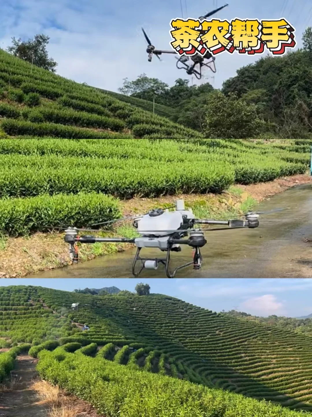 无人机居然能播鱼苗/运茶...