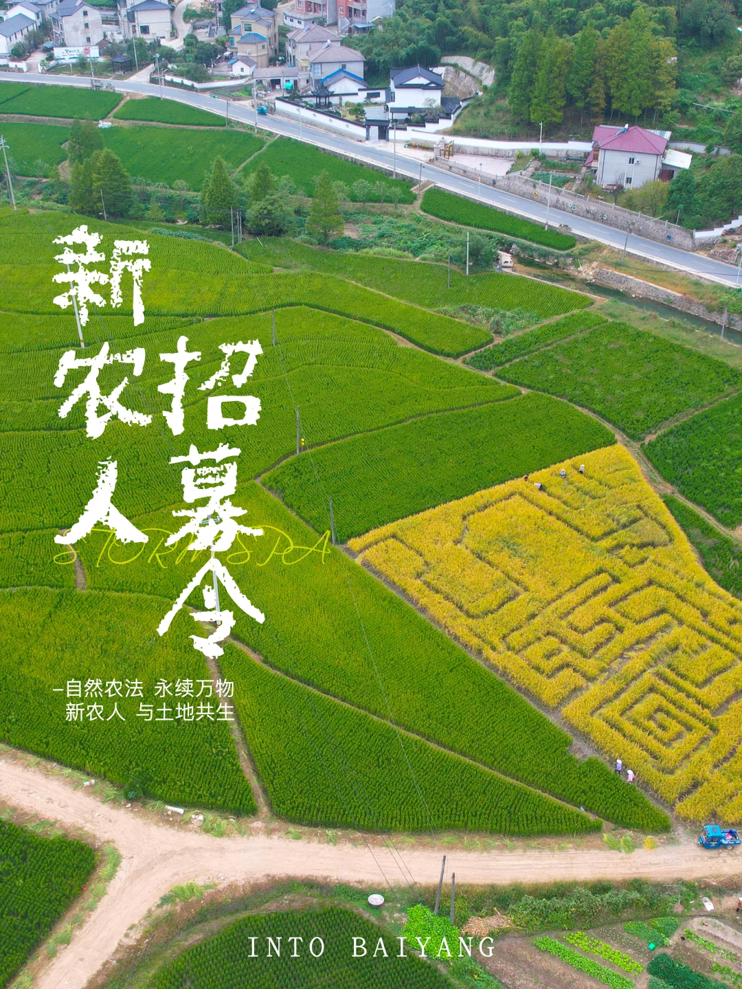 新农人招募令 | 1000亩农田净土在等你