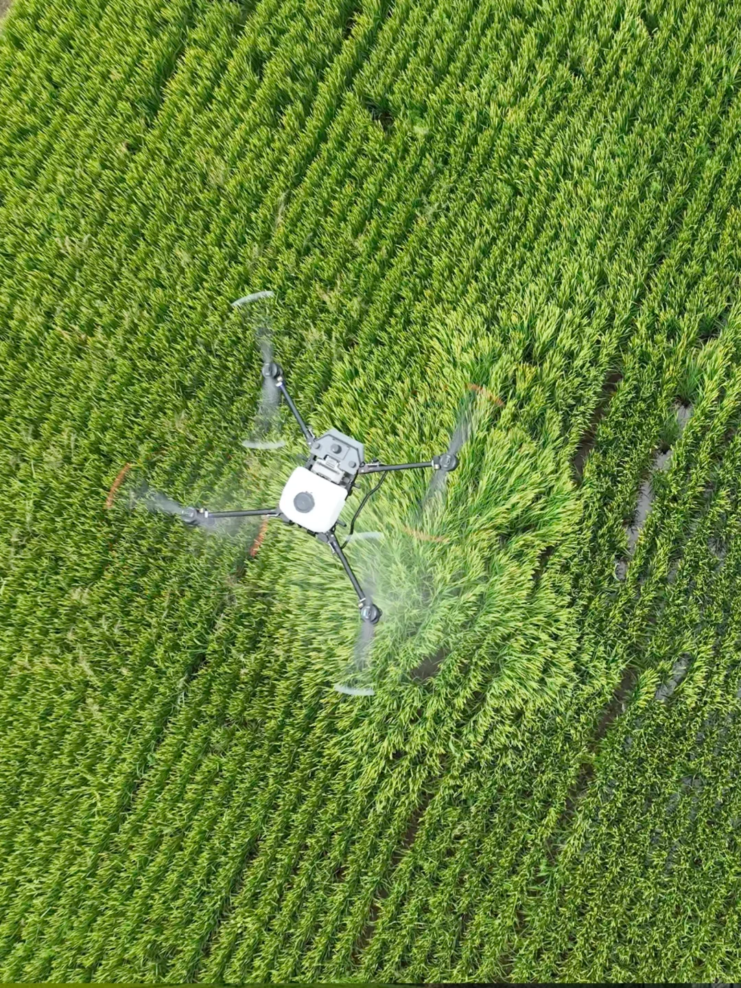 劝你别看!怕你发现无人机轻松赚钱辞职回村