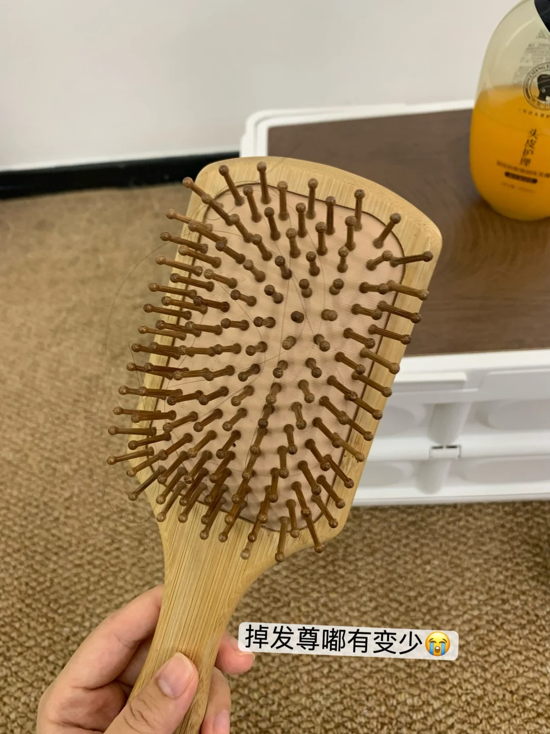 妈宝女真的爱！！防脱?！