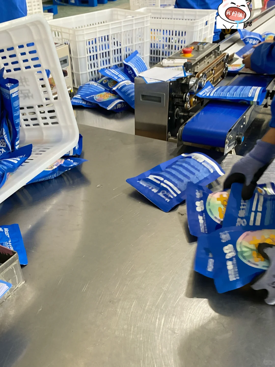 打工日记?|被猫条支配的一天