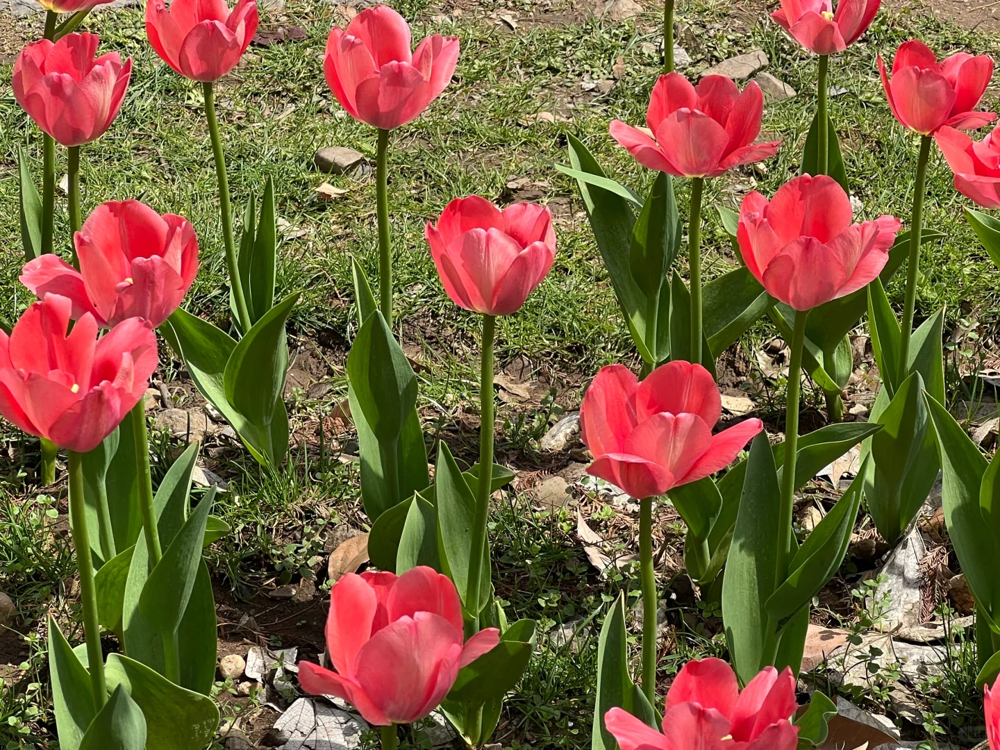 环境科学土壤方向这个专业就应该取消