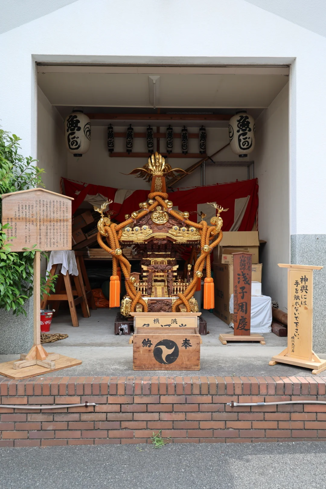 ??横滨 | 飞机一落地直奔早晨的鱼市场