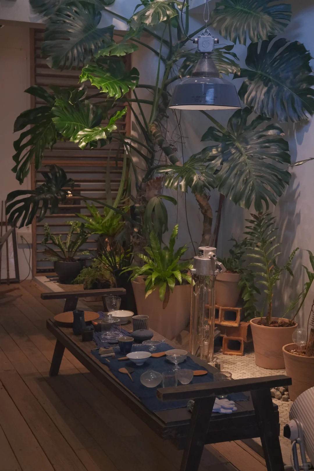 ＊pipo休息日都去哪里了