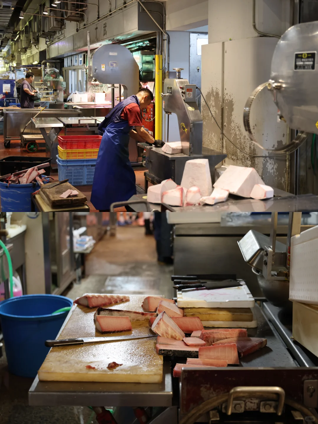 ??横滨 | 飞机一落地直奔早晨的鱼市场