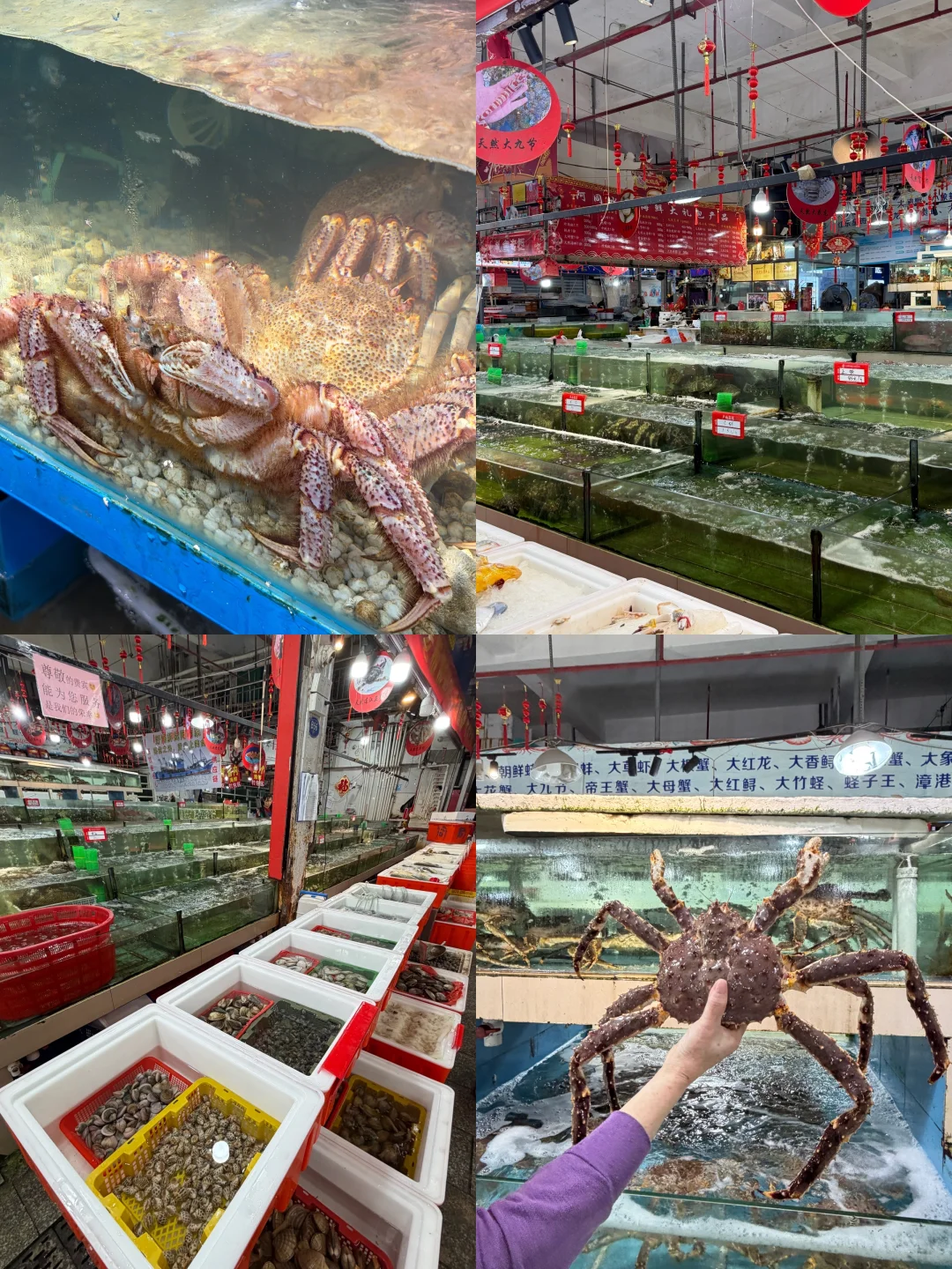 福州终于开了！！！50000㎡海鲜批发市场！！