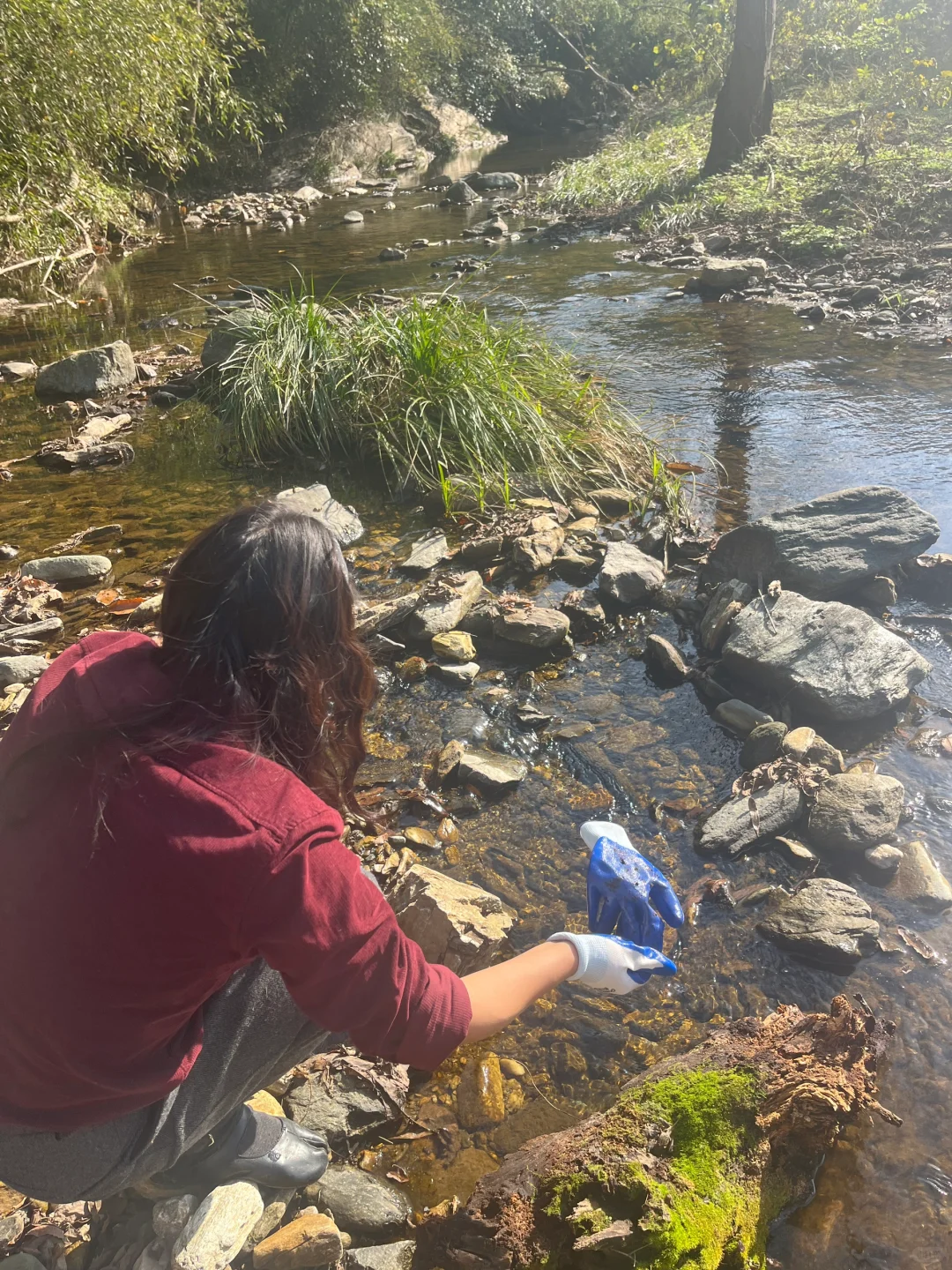 去捡木头，准备下个作品，像在捡垃?