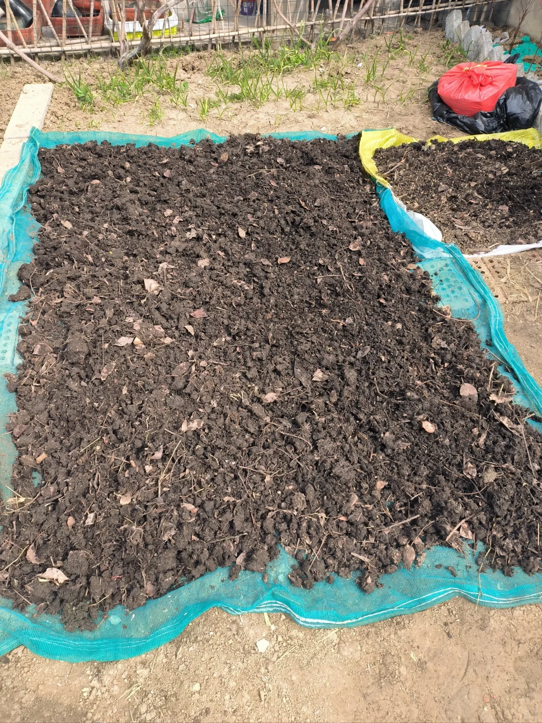 挖来的腐叶土如何处理？