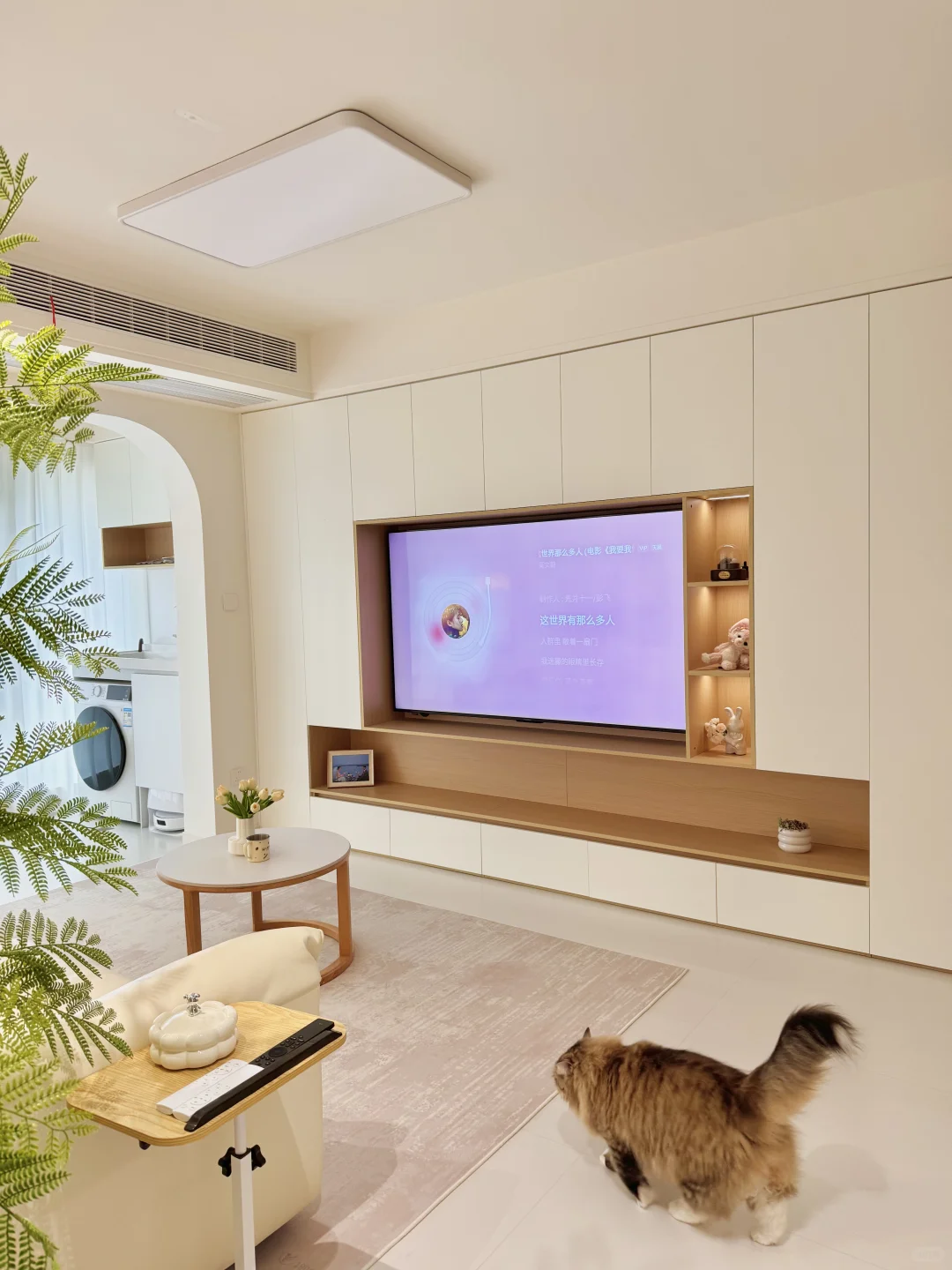 替你们试过了,14w可以拥有这样的家?