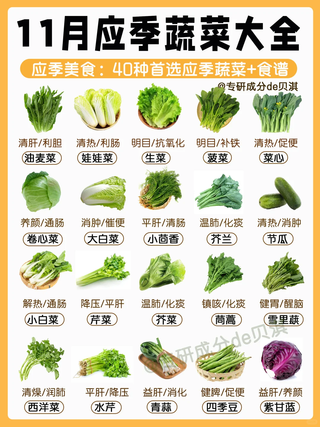 11月应季蔬菜??附营养美味家常菜食谱做法