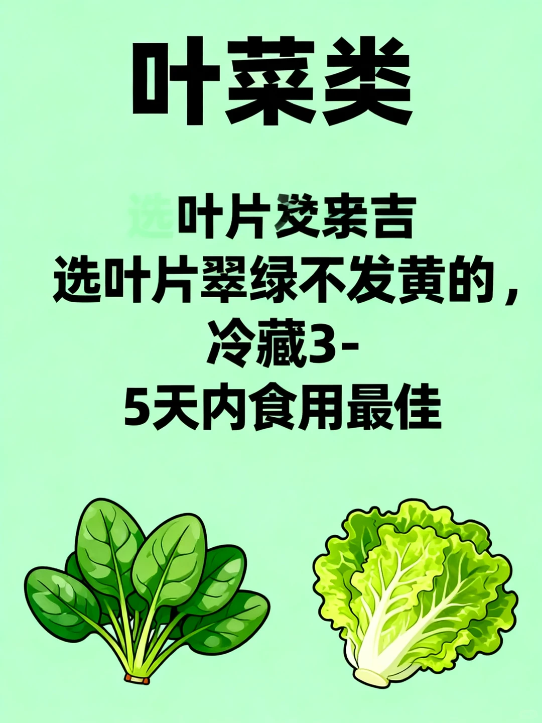 北方冬季应季蔬菜全攻略丨配套储存大法