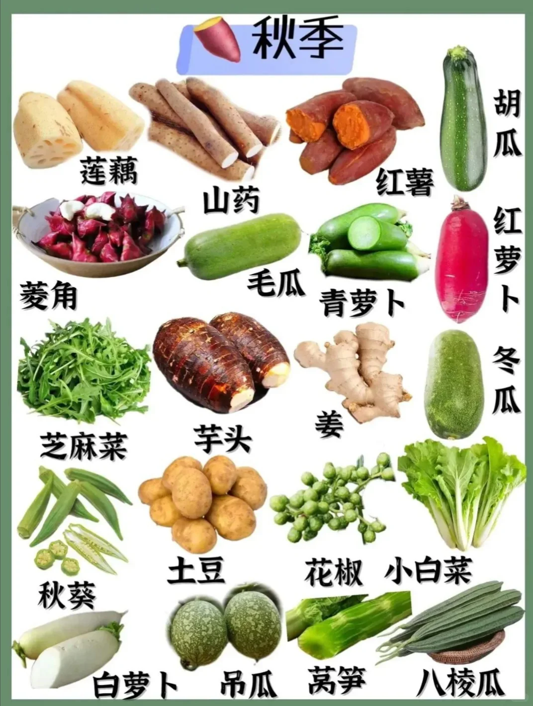 超实用的四季蔬菜汇总