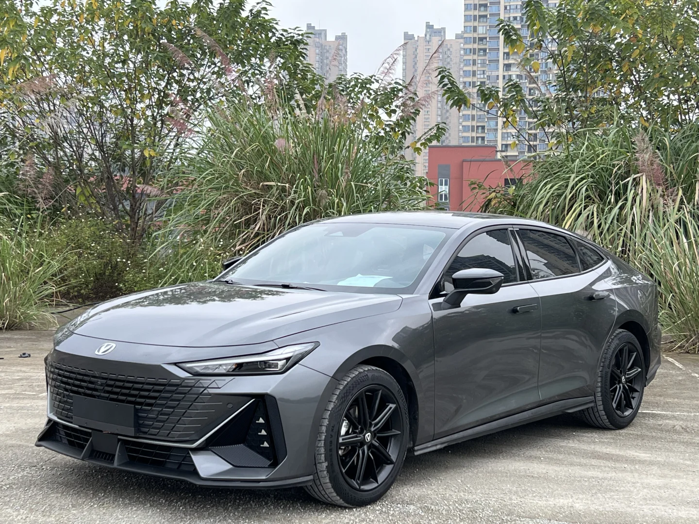 准2024年 尊贵版 懂的来