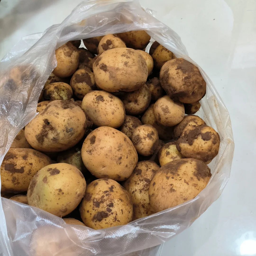 春季的播种迎来了夏季的丰收，自给自足真好