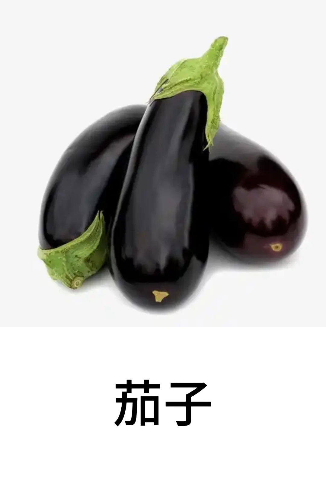 基础认知-蔬菜篇