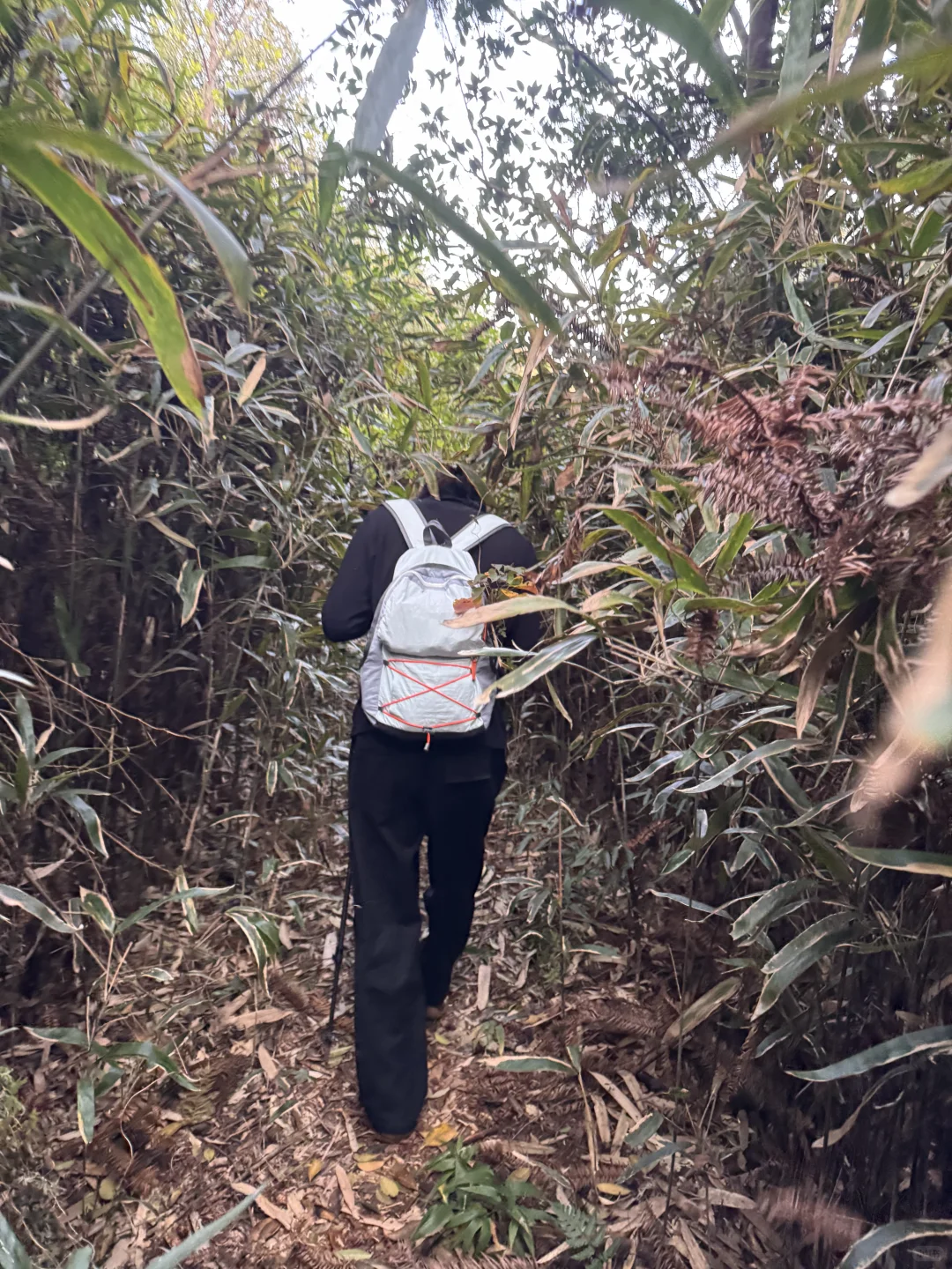 上虞降温首爬 | 梁祝古道环线秋意浓浓?