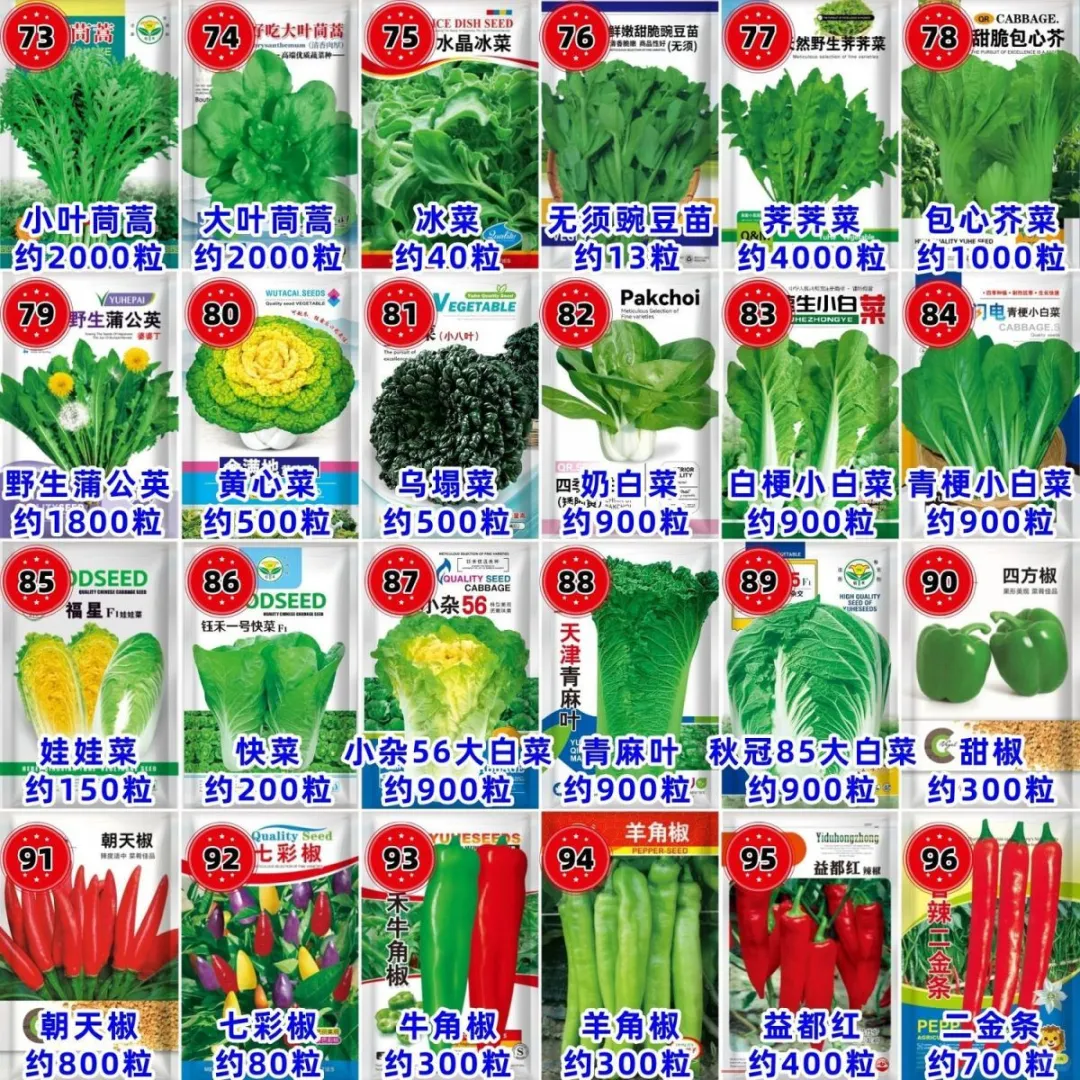 原来种子也有这么多呢