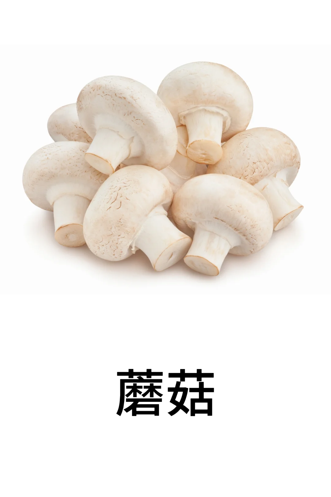 基础认知-蔬菜篇