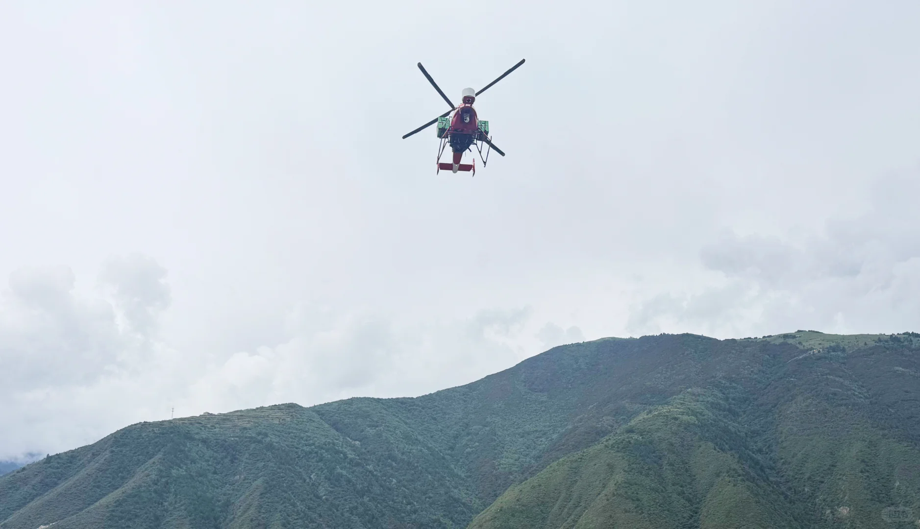无人直升机送草莓上天 四川低空物流起飞啦