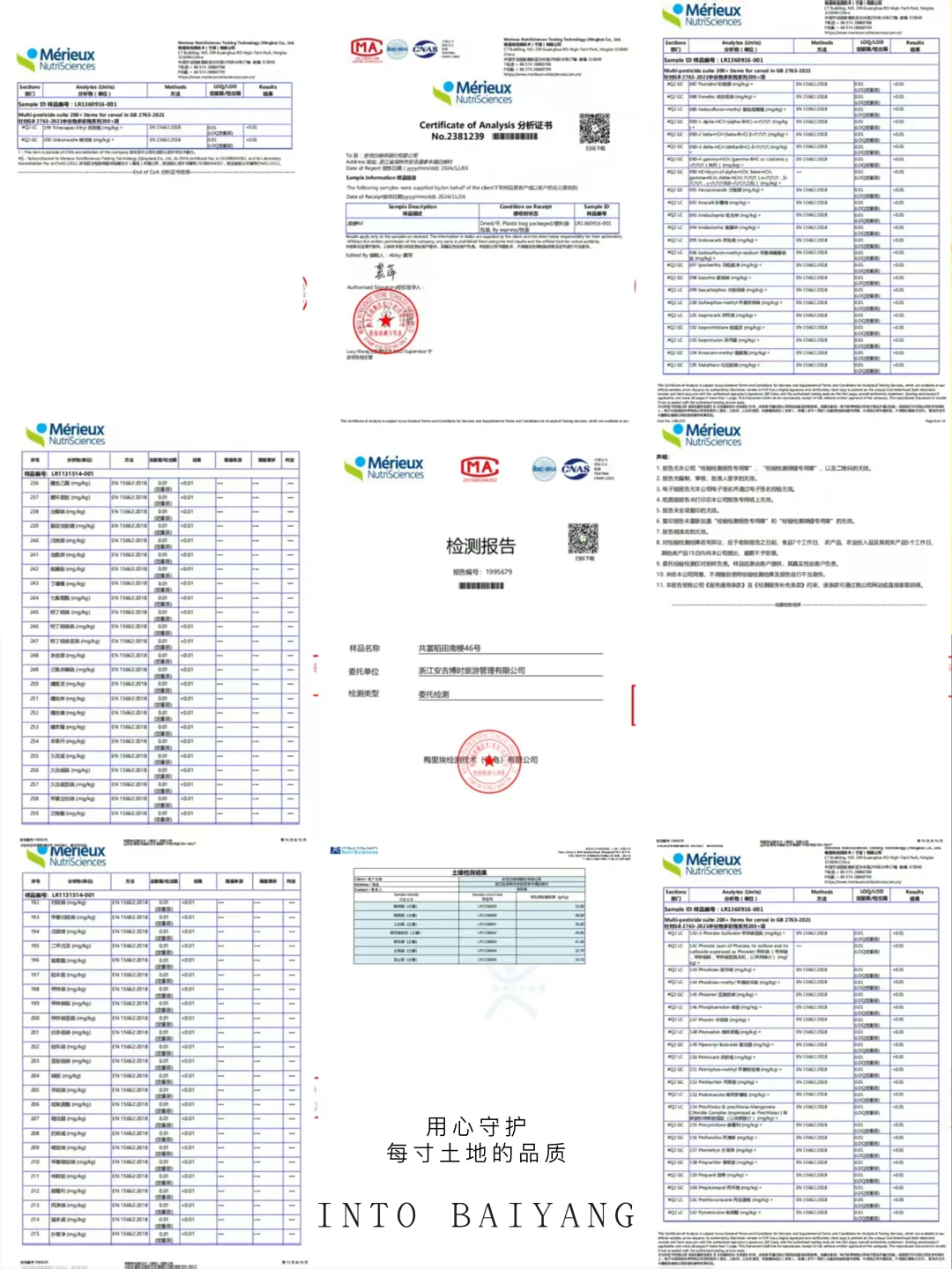 新农人招募令 | 1000亩农田净土在等你